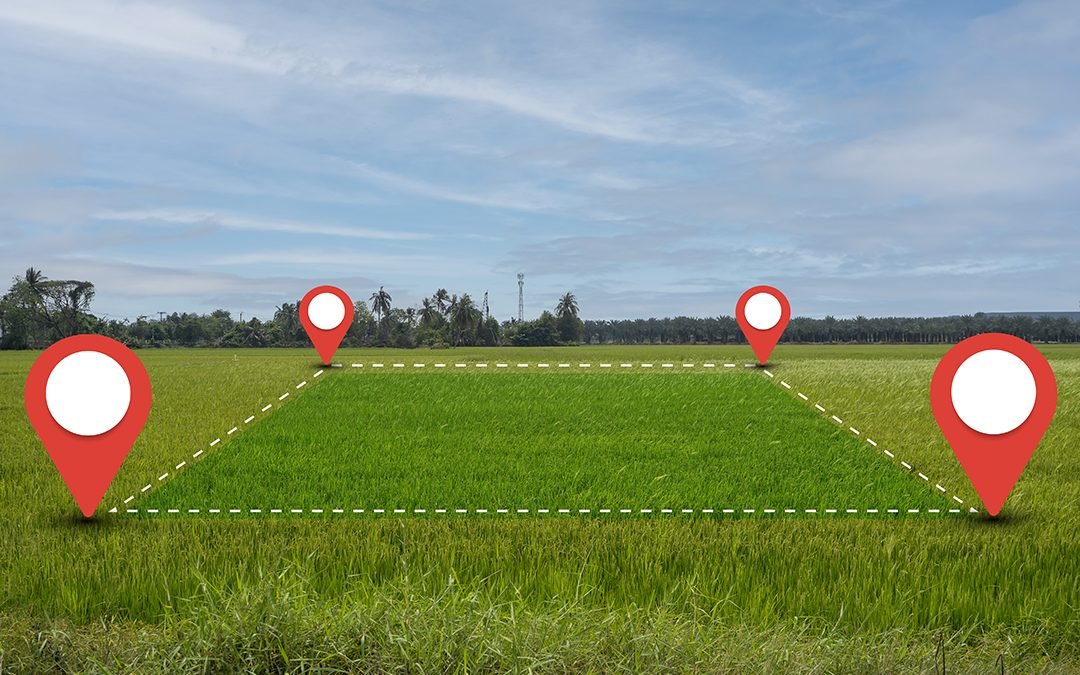 Frontonas – Lots 1, 2 et 3 – Trois logements harmonieux