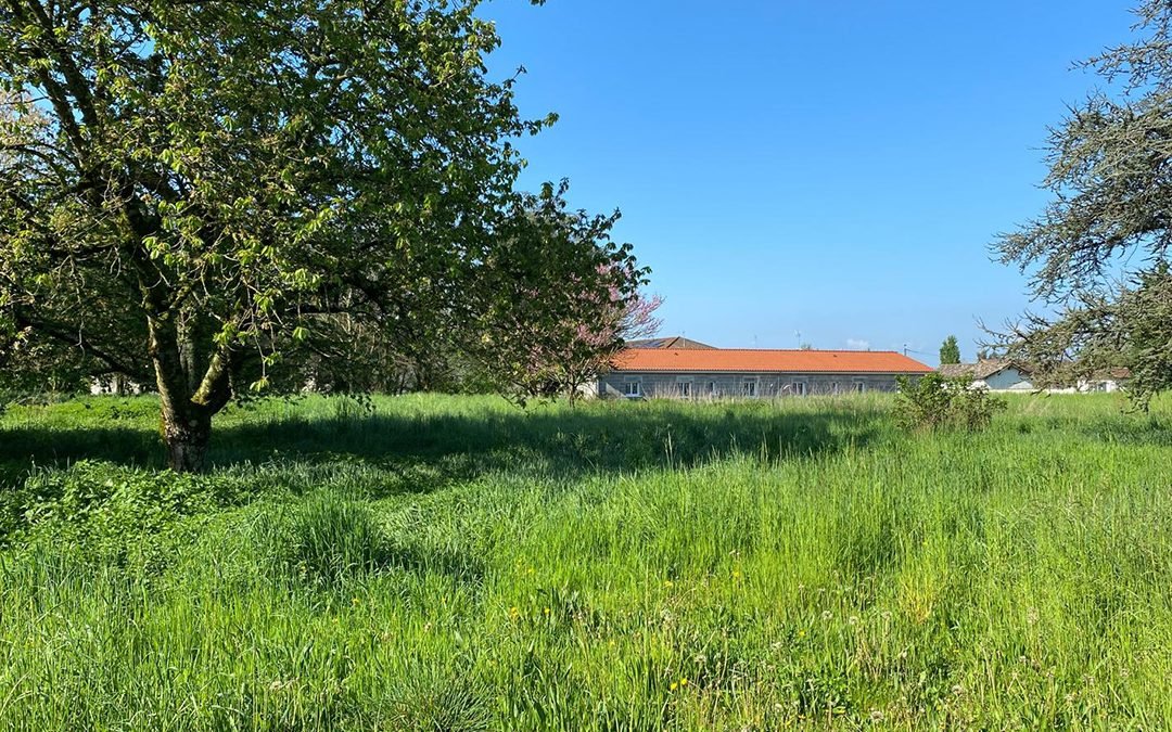 Peyzieux-sur-Saône — Un projet signature entre nature préservée et architecture d’exception